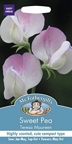 Mr Fothergill’s 14762 Sweet Pea Teresa Maureen Flower Seeds, Pink/Lavender/White, 10.0 mm*145.0 mm*75.0 mm