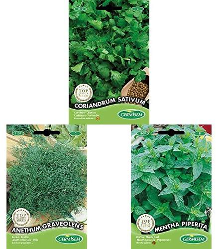 Germisem Anethum Graveolens Graines de Aneth+graines Menthe poivrée+Coriandre CORIANDRUM SATIVUM