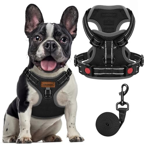 FAYOGOO Hundegeschirr, Kein Choke Front Clip Hund Reflektierendes Geschirr, No-Pull Verstellbare Weiche Gepolsterte Haustier Weste Set für kleine Mittlere Große Hunde Gehen (Schwarz, M)