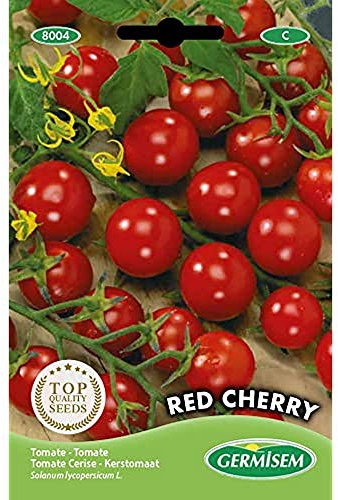 Germisem Red Cherry Semillas de Tomate 1 g (EC8004)