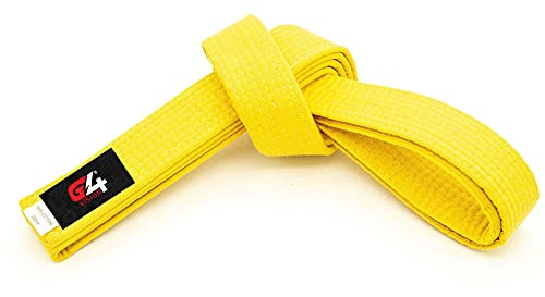 G4 VISION Black Karate Belts Martial Arts Uniform Ranking Taekwondo Karate Judo BJJ Colored Ranking Belt Aikido Kempo Sports for All Purpose