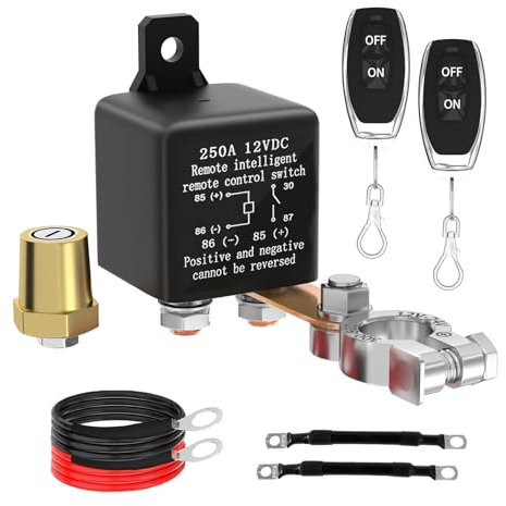 Lizbn Bateria Coche Interruptor 12V Bateria 250A Desconectador con 2 Mandos a Distancia Antirrobo para Coche, Moto, Camión, RV