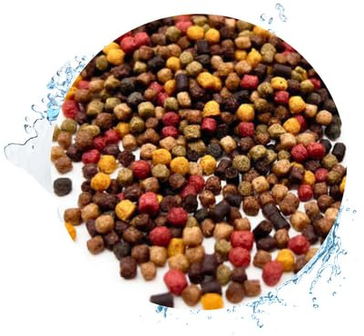Warnick's Fischfutter Koifutter 5-Sorten-Mix 3 mm - 5 Liter im Eimer | Fischfutter für Koi & Zierfische - Schwimmfähig & gut verdaulich - Farbverstärkend mit Spirulina