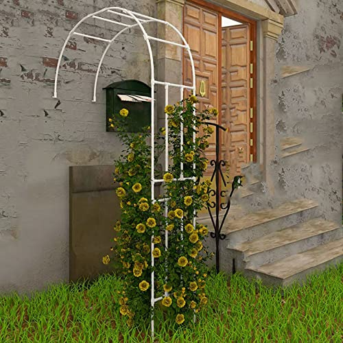 Elegante arco de jardín de metal, elegante arco de rosas blancas para decoración al aire libre, ideal para plantas trepadoras y soporte de árboles, 120 x 240 cm, acento perfecto para jardín