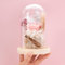Rose sous Cloche, AOKKR Naturelle Fleur Eternelle avec Lumière LED Pine Base et Carte de Voeux, Cadeau pour Copine et Maman - Saint Valentin Fête des Mères Anniversaire