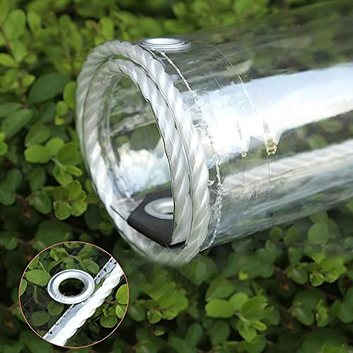 Telone trasparente da giardino, 1,1 m × 3,6 m, con occhielli e cordino, resistente, anti congelamento, anti UV, antivento, copertura isolante per piante, per serra