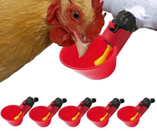 Bogoro 6 Piezas Bebedero Gallinas Automatico, Bebederos de Agua para Gallinas y Codornices, Bebedero De Plástico para Aves