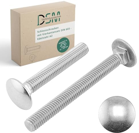 DSM – Tornillos M10 x 30 mm según DIN 603 – Acero inoxidable A2/V2A – Rosca completa – Tornillos de cabeza redonda plana con cuello cuadrado – 2 unidades (2 unidades)