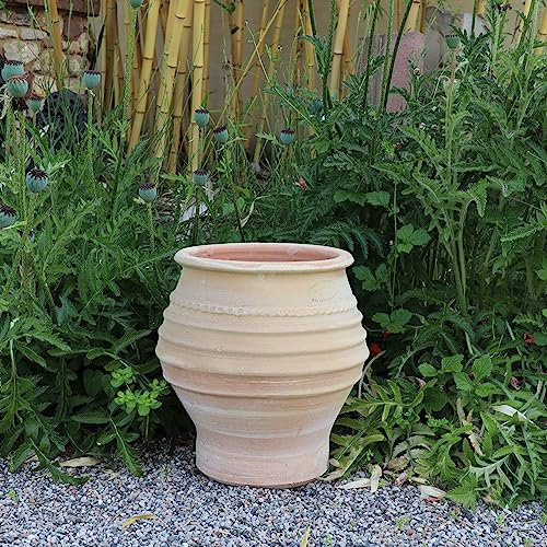 Palatina Werkstatt winterfeste Terracotta Amphore 40cm für Garten und Haus- 100% handgefertigte Unikate, Agave 40 cm