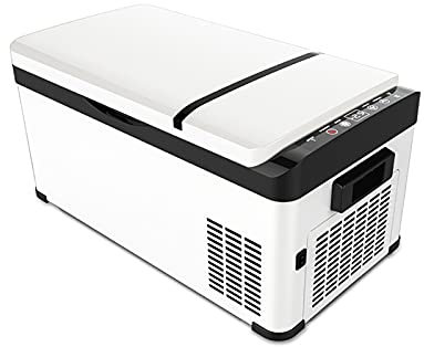 Frigorifero Portatile 12/24 V Congelatore per Auto Mini Frigorifero con congelatore da 32 Quart per Cura della Pelle, Cosmetici, Cibo, Ottimo per Camera da Letto, Ufficio