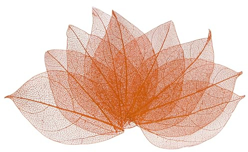 M METERXITY 200erPcs Skelettblätter Natürliche Gummibaum Getrocknete Pressblätter Blattadern Für Harz/DIY Basteln Karten/Scrapbook/Hochzeit Kleine Blätter Deko [4-6cm Hautfarbe]