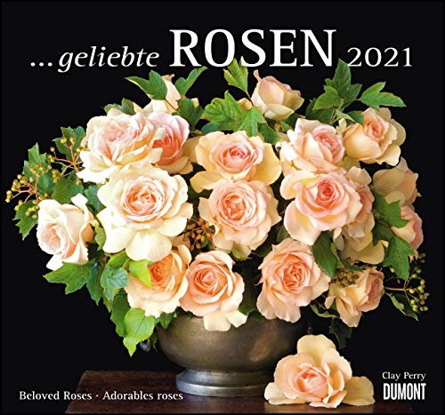 ... geliebte Rosen 2021 – DUMONT Wandkalender – mit allen wichtigen Feiertagen – Format 38,0 x 35,5 cm: Beloved Roses; Adorables roses. Internationales Kalendarium