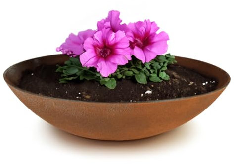 matches21 wetterfeste Pflanzschale für draussen - große Dekoschale in Rost Metall-Optik als Blumenschale - Flache Garten Schale in 35 cm für Blumen, Bonsai oder Friedhof Grab-Schmuck
