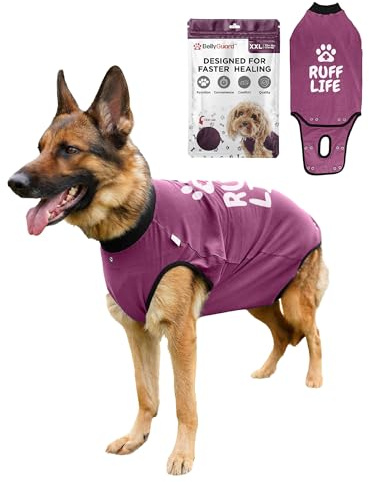 BellyGuard återhämtningsdräkt för hund, återhämtningsdräkt för kvinnor och män, hund kirurgisk dräkt, mysig hund-onesie, hunddräkt efter kirurgi, hundväst