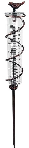 liovitor Kapazität Glas Spirale Regenmesser, Gusseisen Vogel Hängender Regenmesser, Garten Regen Wasserzähler Messen mit Metallrahmen Langlebig Einfach zu bedienen 50x3.5x3.5cm
