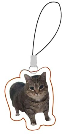 Lustiger Handy-Anhänger | Emoticon-Telefon-Schlüsselband | Acryl-Schlüsselanhänger, Katze, Hund, Emoticon-Handygurt für Teenager, Kinder, Rucksack, Refer to description, Acryl, Unisex