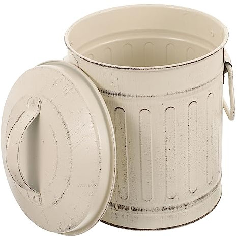 Zerodeko Secchiello Per Cenere in Metallo Con Coperchio Per e Design Semplice e Stile Vintage Leggero e Facile Da Trasportare