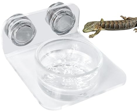 Reptilvattenskål - Gecko Mataravsats Med Sugkopp | Snake Vattenskål För Fastsättning | Reptilmatarstation För Ödlor Kameleonter Trädgrodor Terrarium