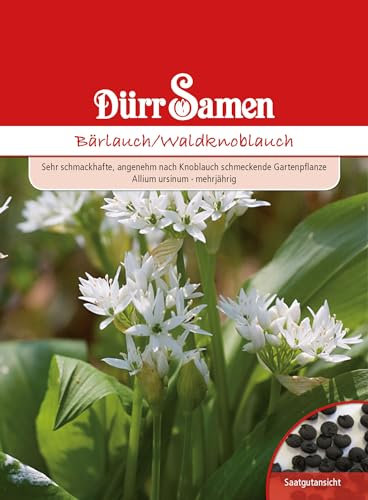 Dürr-Samen - Bärlauch/Waldknoblauch Saatgut