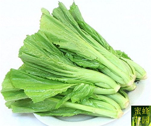 Offre Spéciale Hors Balcon Régulier Vendre Graines De Moutarde Légumes Plante