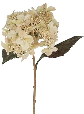 Gisela Graham Artificial Lace Cap Hydrangea Stem, Cream, Polyester, 52cm