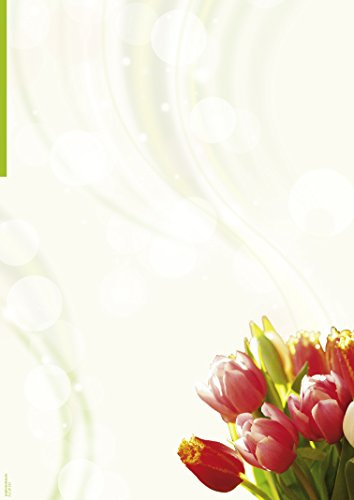 Designpapier Tulpenstrauß DP1891 – 25 Blatt Briefpapier – Hochwertiges Motivpapier Geburtstag, Einladung, Brief, Jubiläum, Liebesbrief – Laser- & Inkjetdrucker geeignet – Druckerpapier A4 90g/m²