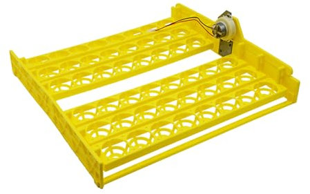 Eierbrutkasten, Automatischer Eierwender für Hühner-, Wachtel-, Enteneier, Brutapparat Brutmaschine für Geflügel, Automatischer Wender für Bruteier (12V 48 Eier)