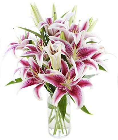 KaBloom - Deluxe Pink Lily Bouquet of 13 Stems Stargazer Lilies with Vase - Fresh Flowers for Birthday, Valentine's & Mother's Day