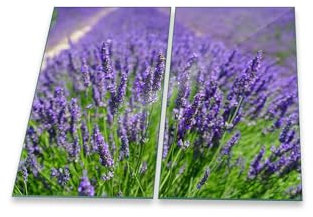 decorwelt | Herdabdeckplatten 2x30x52 cm Ceranfeld 2-Teilig Universal Elektroherd Induktion für Kochplatten Herdschutz Deko Schneidebrett Sicherheitsglas Spritzschutz Glas Violett Blumen