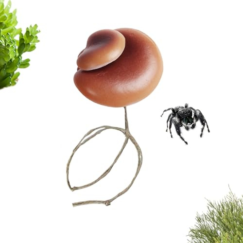 Bsbkoj Tillbehör för hoppande spindlar, magnetisk lekplats, magnetisk för hoppande spindlar terrarium | för reptiler mantkrabba små husdjur