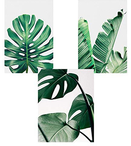 Nicole Knupfer 3er Set Poster Wandbilder,Grüne Monstera Blätter Bilder,Wand Deko für Wohn-Schlafzimmer, Wandposter Posterset Ohne Rahmen (B,50x70cm)