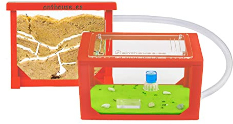 Anthouse - Natürliche Ameisenfarm aus Sand | 3D Rot Mini Set (Sandwich + Futterbox) | Inklusive Ameisenkolonie
