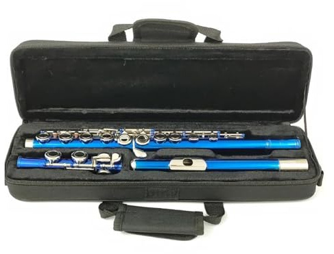 Flöte Für Anfänger Flöte 16 Schließen Löcher C Tasten Instrument Kupfernickel Vernickelt