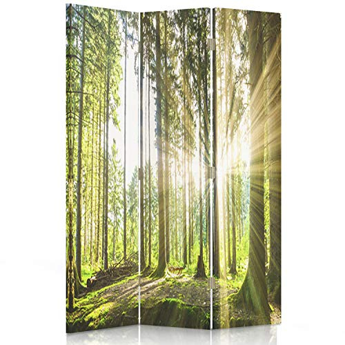 Feeby Paravent Wald Baum Sonne Natur 110x150 cm 3 Teilig Modern Design beidseitig Raumteiler Wandschirme Foto Trennwand Raumtrenner Sichtschutz Spanische Wand auf Leinwand Bedruckt Landschaft Grün