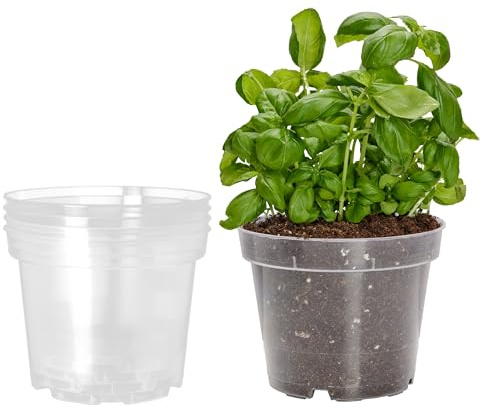 Garronda Blumentopf Orchideentopf Transparent runder Übertöpfe für Zimmerpflanzen Pflanzentopf Pflanztöpfe Kunststoff in verschiedenen Größen GD-0024 (5 Stück Transparent, ⌀ 19cm H 15cm)