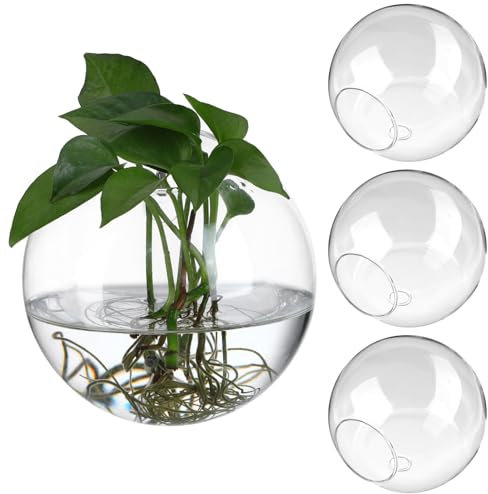 Cabilock 4 Stücke Wandbehang Glas Pflanzgefäße Blumenvase Wandvasen Pflanzen Hydrokultur Vase Wand Glasvase Konische Vase Hängender Blumentopf Pflanztopf Kaktus Sukkulenten Topf Garten Deko