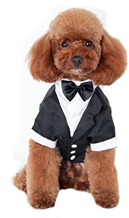 Keysui Mascotas Elegante Fiesta Formal Traje Ropa Partido Smoking para Perros Abrigos (Negro, M)