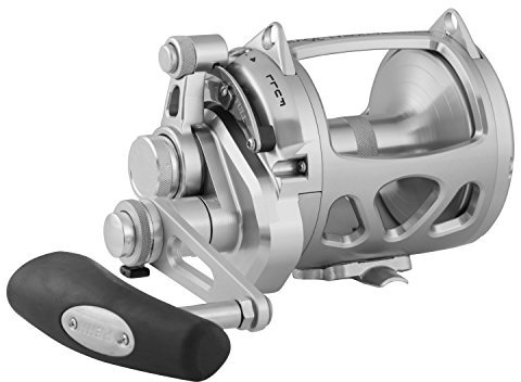 Penn int30visws International visw International Vis 2 Speed Angelrolle