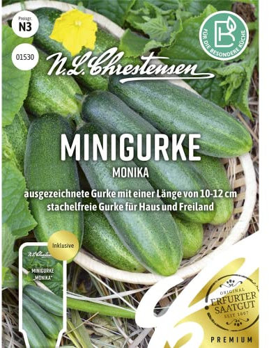Minigurke Monika Samen, Saatgut