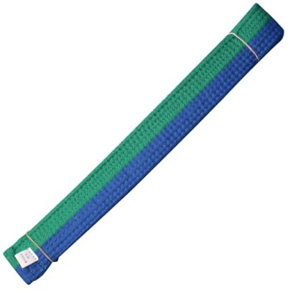 SageFurned Farbiger Gürtel für Karate, Judo, Taekwondo, 280 cm x 4 cm, Polyester-Baumwoll-Polyester-Mischgewebe, Trainingsschärpe für Kinder und Erwachsene, Weiß/Gelb/Grün/Blau/Rot/Schwarz/Braun/Lila