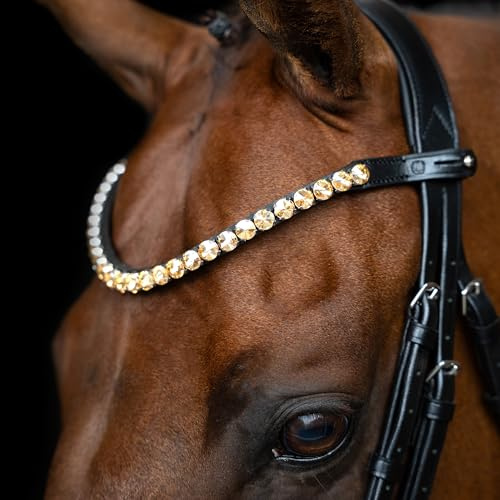 Imperial Riding Cinghia Frontale IRH Grande, Fascia in Pelle con Strass in Vetro e Chiusura a Penna, Oro, COB