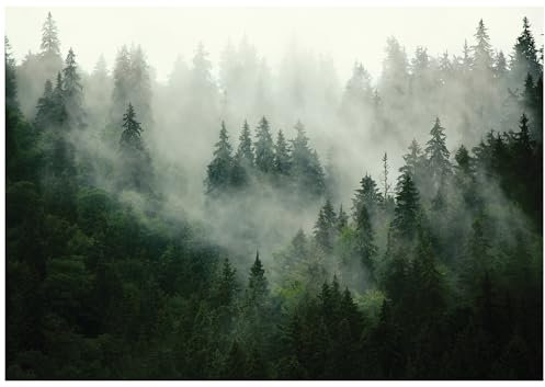 WallArena - Vlies Fototapete Wald Nebel Landschaft Grün Natur Bäume 350x250 cm - Fototapeten - Tapeten - für Wohnzimmer Schlafzimmer - Vliestapete Wandtapete Tapete 3D Effekt- inkl. Kleister
