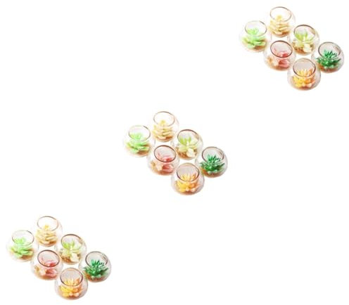 MAGICLULU 18 STK Puppenhaus saftig Ornament Terrarienschale Mini-Fake-Pflanzen Regalpflanzen Wohnkultur Sukkulente im Miniaturtopf Topfpflanzenmodell Schreibtisch schmücken Sukkulenten Glas