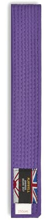 Playwell Martial Arts Gürtel aus Baumwolle, einfarbig, Karate, Judo Taekwondo, violett, 250cm