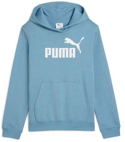 Ess No. 1 Logo Hoodie FL G