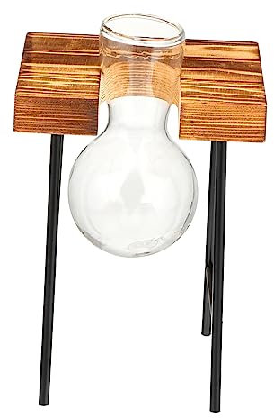 TOYANDONA Hydroponische Glasvase Holzständer Für Pflanzen Zwiebelvase Terrarium Desktop Dekoration Für Küche Fenster Wohnzimmer Büro