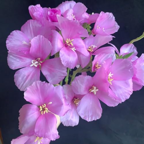semillas de azalea de verano raras, decoración sala estar, azalea verano silvestres balcón, sombra jardín, primavera, silvestres 40pcs