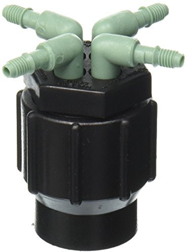 Orbit Manifold Parent (2)