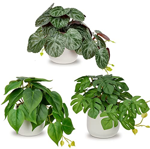 3er-Set Kunstpflanze Hängend Deko Pflanzen im Keramiktopf Mini Kunstpflanze Monstera und Philodendron Dekoration Modern für Home Office Badezimmer Küche und Innendekoration
