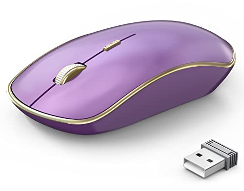 JOYACCESS Ratón inalámbrico silencioso – 2.4G portátil y ergonómico con 5 niveles de DPI para escritorio, portátil, PC y portátil (morado)